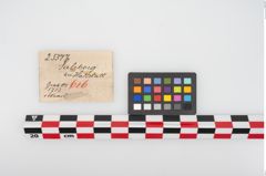 Etikett zu Bronzemehrkopfnadel (NHMW-PRAE-025577)